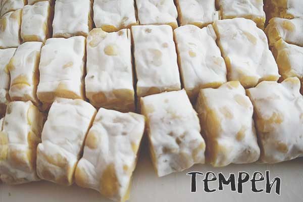 Croûtons de tempeh aux épices